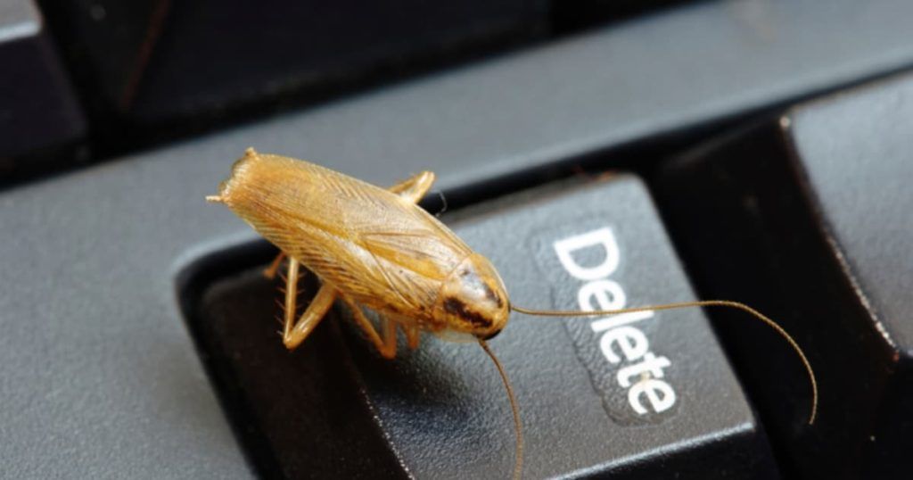 Уничтожение тараканов в офисе в Абакане